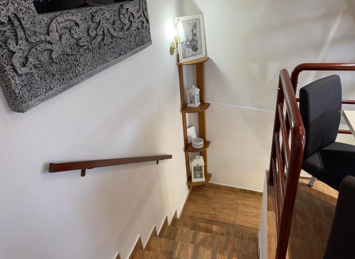 Guesthouse Vladimir & Ana Pancsova Kültér fotó