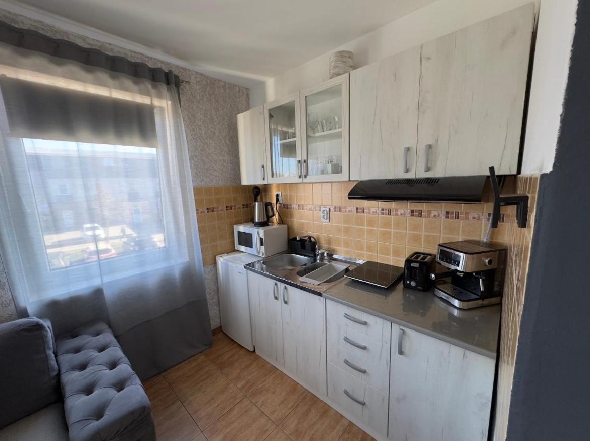 Guesthouse Vladimir & Ana Pancsova Kültér fotó