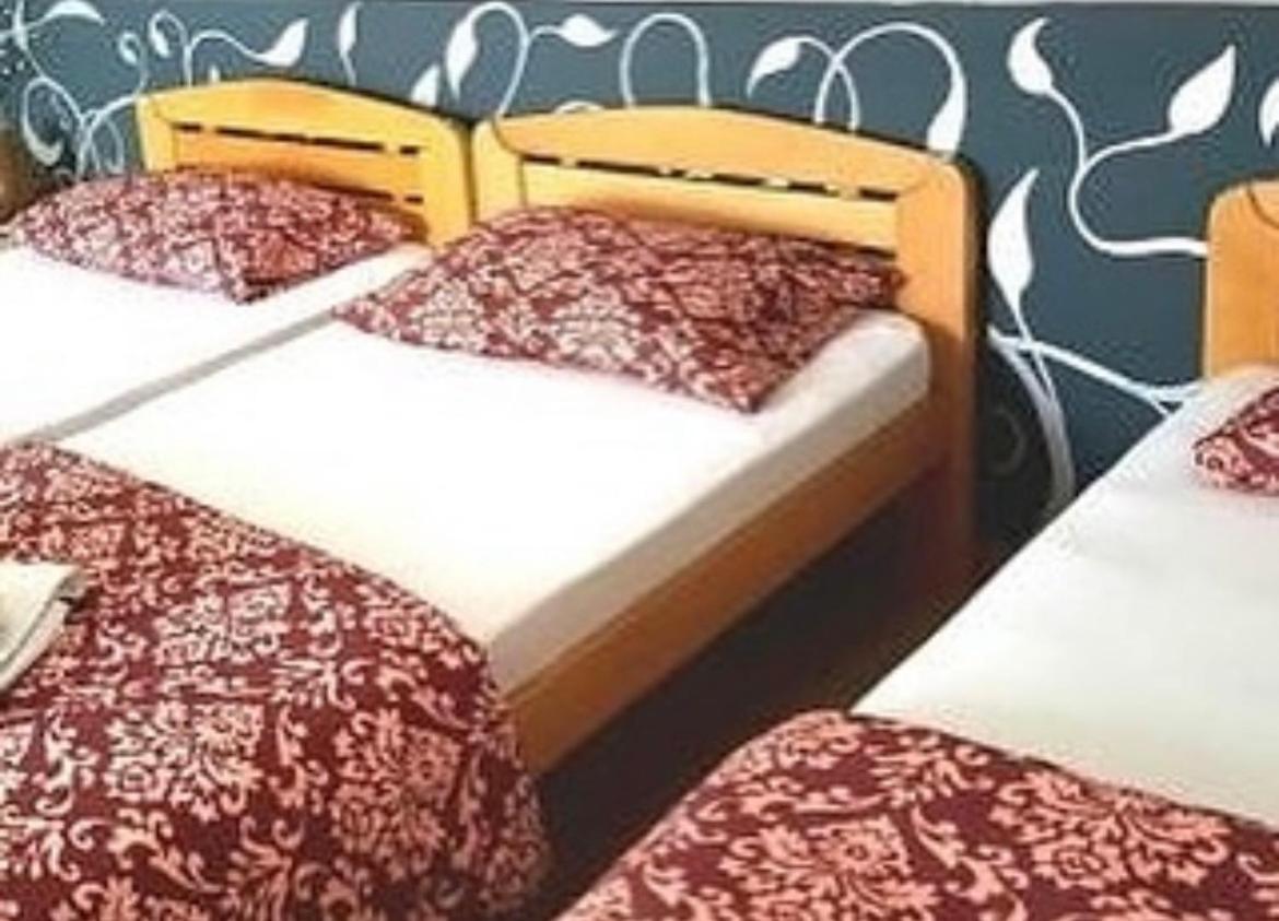 Guesthouse Vladimir & Ana Pancsova Kültér fotó