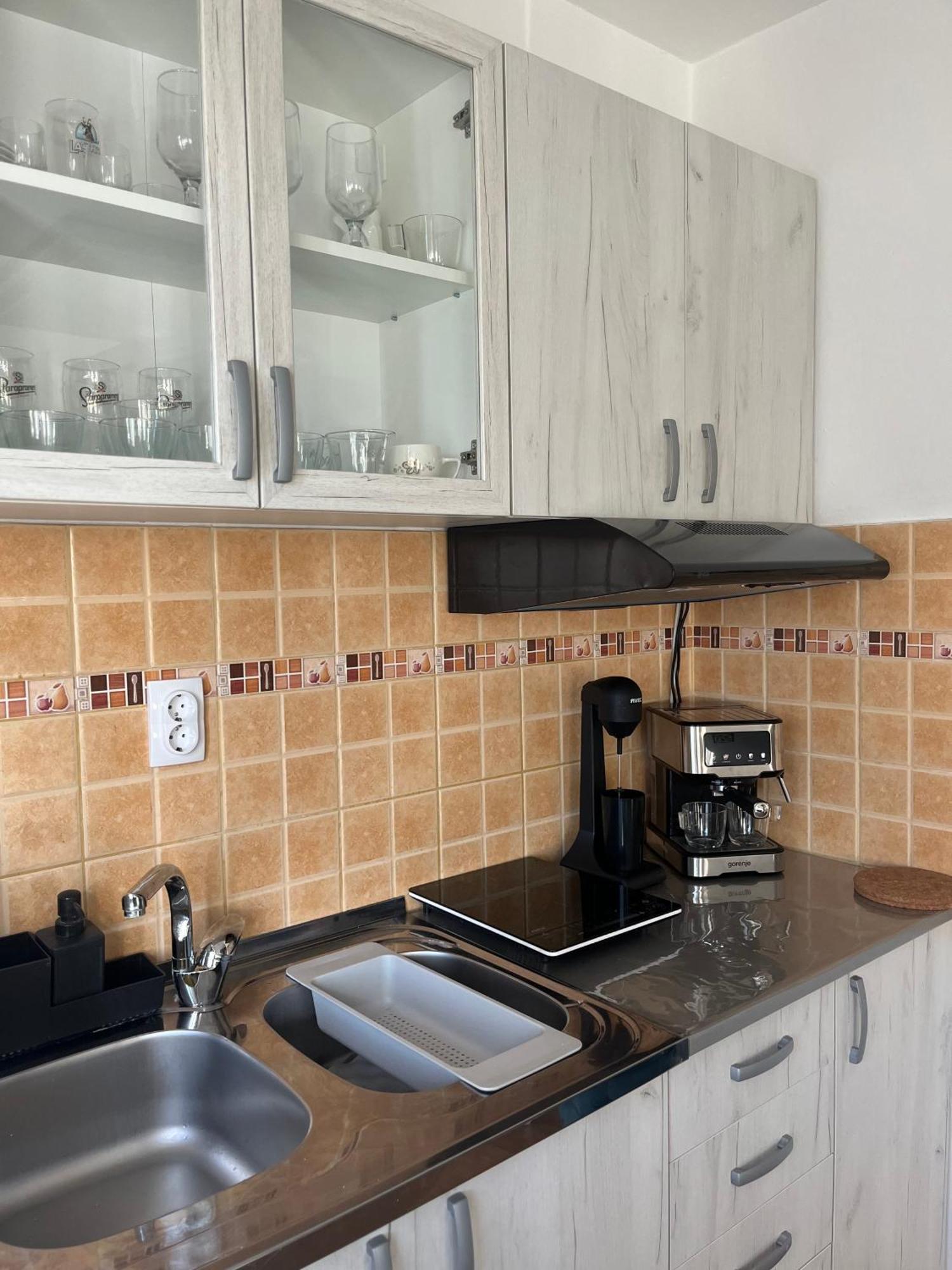 Guesthouse Vladimir & Ana Pancsova Kültér fotó